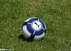 中国电竞制,作引领全球,树立,开云体育,开云体育官网,开云体育app,开云体育平台,KAIYUN,SPORTS,kaiyun登录入口