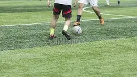 开云体育官网入口 产品 090450 6ld