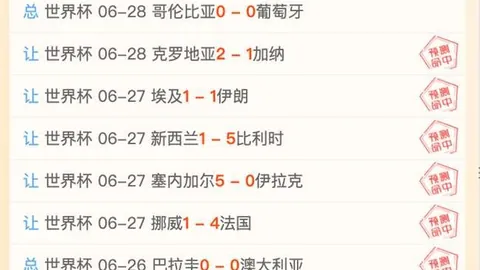 开云体育官网入口 134925