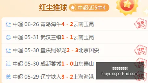 开云体育官网入口 112203 51