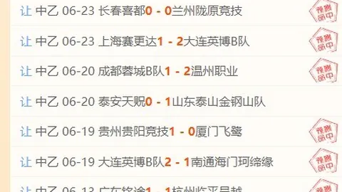 开云体育官网入口 111241
